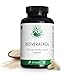 Produktbild Trans Resveratrol 500mg aus Hefe - Reinheit: >98% Trans-Resveratrol - Vorrat für 4 Monate (120 Kapseln) - Deutsche Herstellung - 100% Vegan & Ohne Zusätze - Green Naturals®