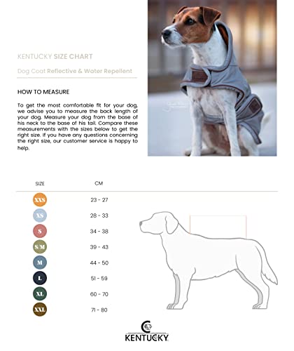 Kentucky Dogwear - Hundemantel - Reflektierend & Wasserdicht - Silber - Größe (XS) - 28-33cm