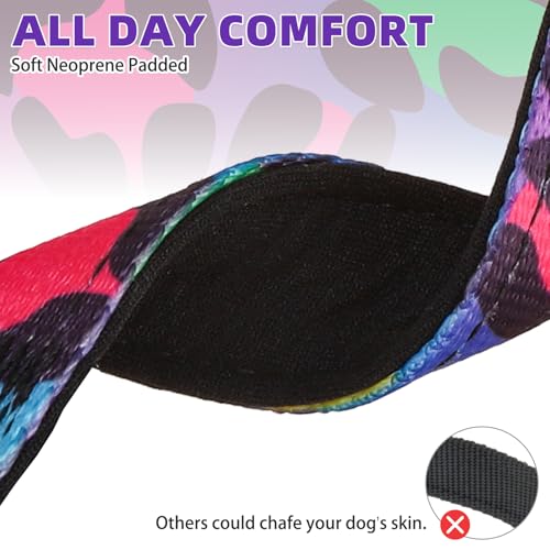 Image of Martingale Collar for Dogs for Small Medium Large Dogs, Soft Padded Nylon No Pull Dog Collar with Buckle, Adjustable No Slip Heavy Duty Durable Puppy Training Collar for Boys Girls, M