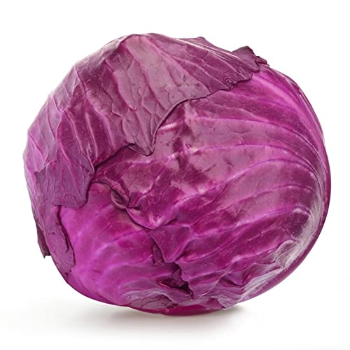Red Cabbage, One Head