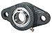 Peer Bearing FHFT211-32G 2 Bolt Flange Unit, Narrow Inner Ring, Relubricable, Eccentric Locking Collar, Single Lip Seals, Cast Iron, 2" Bore, 7-1/4" Center Length