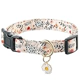 Raisingwell Cute Dog Collar Beige Flower Pattern for Boys and Girls Holiday Dog Collars Summer Fall Gift Adjustable for Small to Medium Breed Dogs (XS)