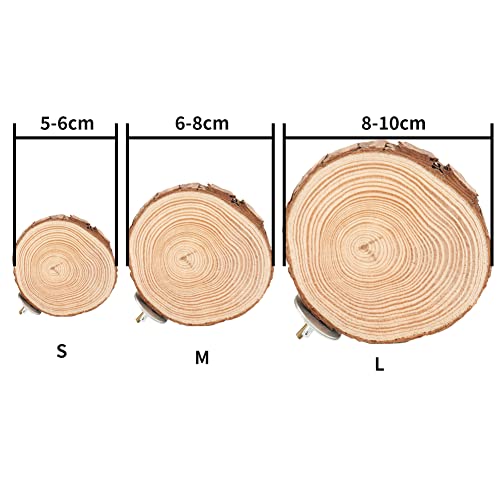 Round Wooden Springboard Parrot Perches Stand Toy Bird Parrot Perch Platform for Small Parakeets Cockatiels Hamster(8cm) - Image 2