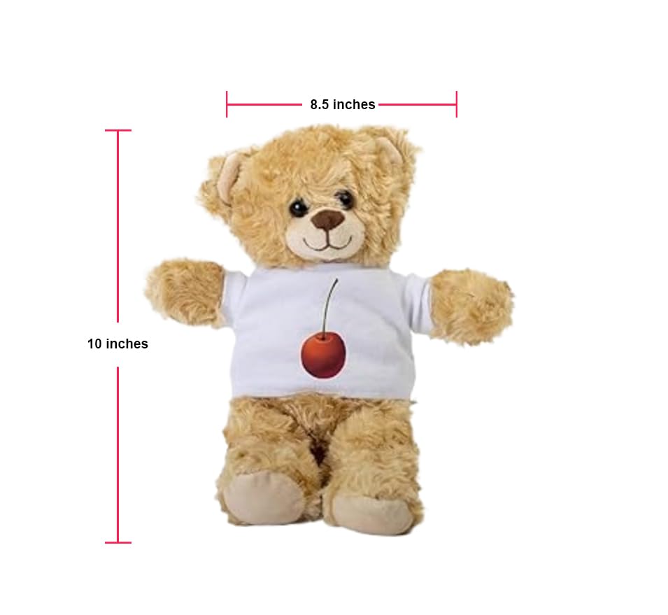 Teddy Bear 杉興安　大きなベアと小さなベア　ONDORI 杉興安のTeddy Bear―大きなベアと小さなベア | 杉 興安 |本 | 通販