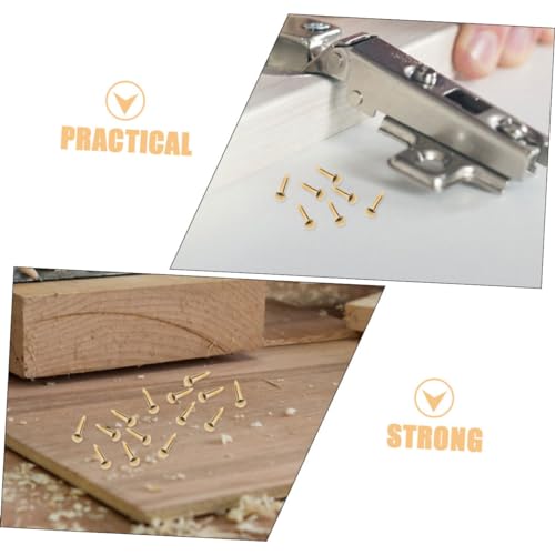 Gadpiparty 100 piezas Clavos de cobre para colgar con cabeza redonda para muebles y cuadros, color dorado miniatura 2