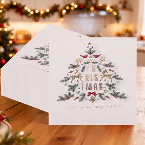 Lot de 20 serviettes en papier jetables imprimées avec éléments de Noël - 2 plis - Serviettes de cocktail pour le Nouvel An, le dîner d'hiver, fournitures...
