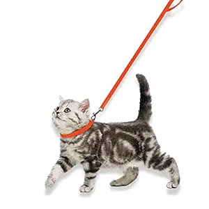 Buraq Collar and Leash Set , Adjustable Collar Leash with Bell Perfect for Cats and Puppies (Orange)