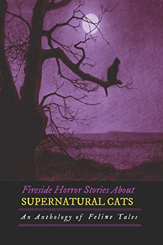 Fireside Horror Stories About Supernatural Cats