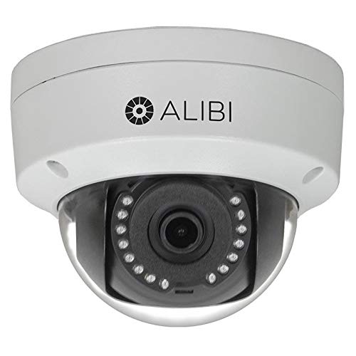 ALIBI 2MP 100’ IR IP Dome Camera