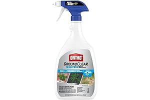 Ortho GroundClear Super Concentrate Weed and Grass Killer
