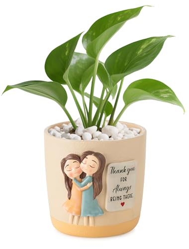 Afigurna Gardening Gifts for Women: 5.3in Plant Pot Gifts for