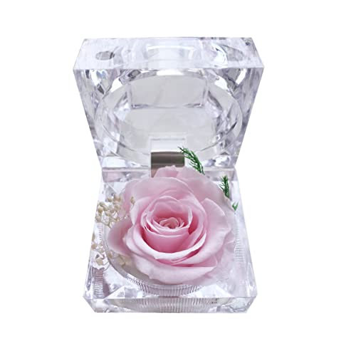 DoraMagic Rosa preservada real para sempre em mini caixa de anel transparente, presentes de rosa de flor eterna para mulheres, mãe, namorada, avó, dia das mães, aniversário, dia dos namorados, Natal, aniversário (rosa)