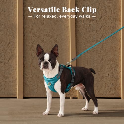 Image of Didog No Pull Dog Harness for Small Dogs, Classic PU Leather, Light Blue, S