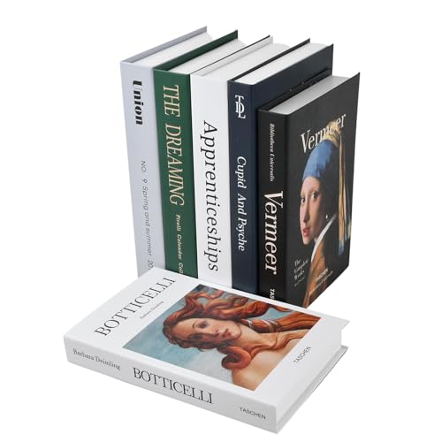 6 Pz Libros Falsos Decorativos, Juego de Libros de Imitación Decorativos, Libros Falsos creativos, Libros de Exhibición Falsos Modernos, Libros de Exhibición Apilados para Mesa de café/Estantería (C)