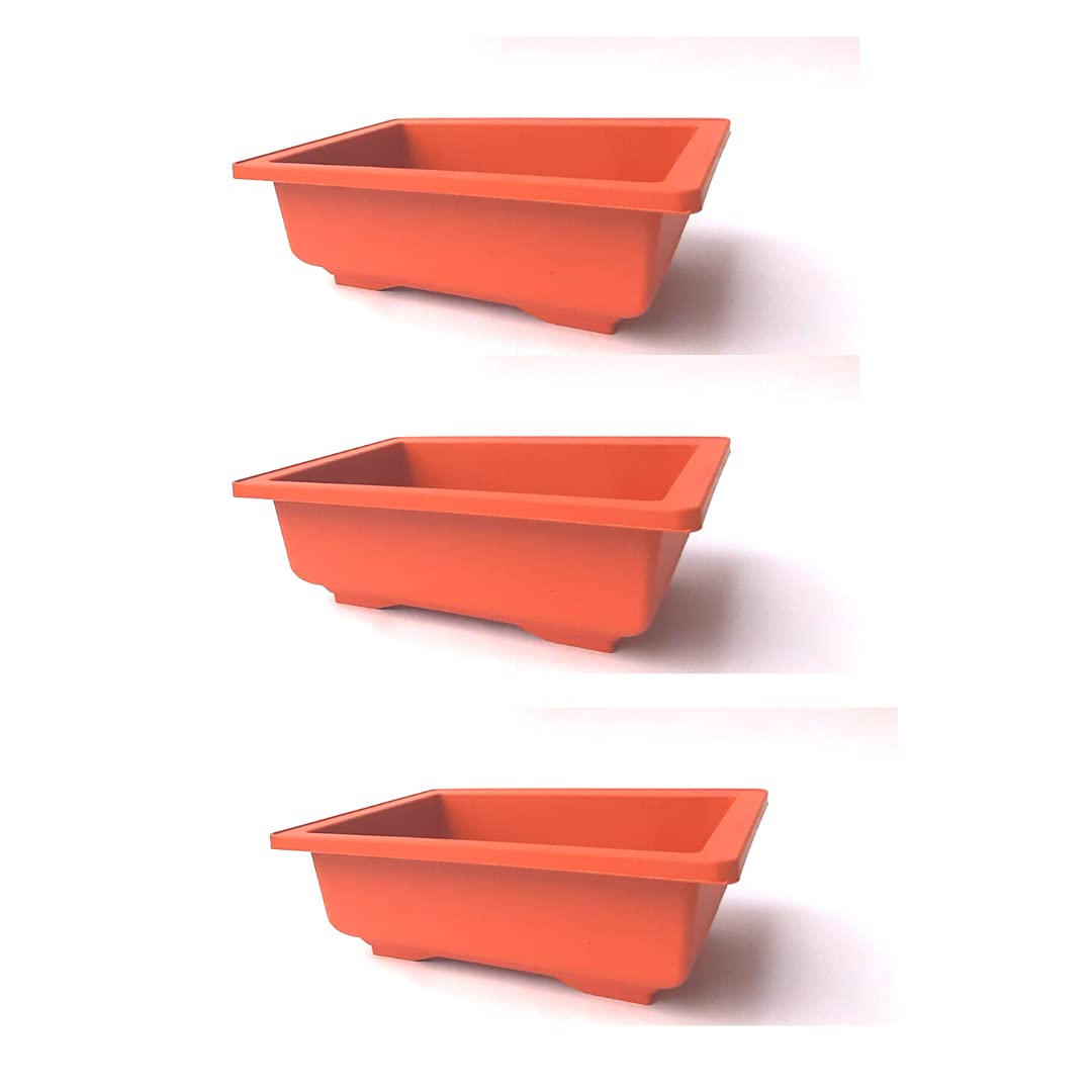 Green Paradise® Plastic Bonsai Pots rectangle 22.9 (L) x 16.50(B) x 8.30 (H) cm Terracotta color ideal for Training bonsai trees creating succulent cactus mini gardens adeniums (pack of 3)-image-28
