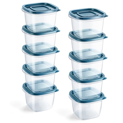EFISH Juego de 10 Cajas Cubo Rectangulares de Plástico con Tapas,Cajas de almacenamiento de alimentos,conjuntos de contenedores de alimentos,contenedores.Para la escuela, (10PCS - 480ml)