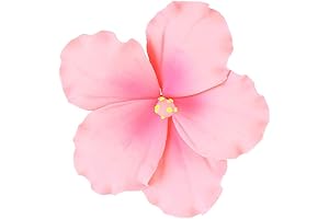 O Cremes Gumpaste Hibiscus Flower Cake Topper Set