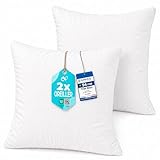 Flowen Coussin Canape 30x30 Lot de 2 Oreillers Decoratif Accessoires pour Sofa Decoration Aesthetic pour Salon et Exterieur Antiallergiques et Anti Acariens avec Taie d'oreiller en Polyester