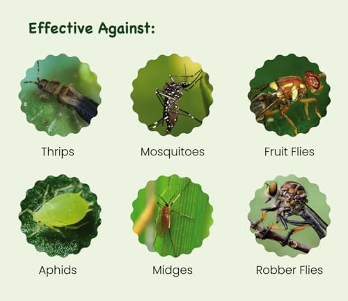 Sticky Insect Traps 40 Pcs