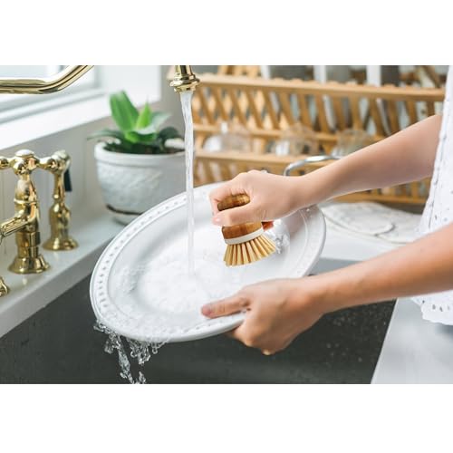 Image of HIC Kitchen Vegetable Scrubber Dishwashing Brush, Bamboo with Non-Scratch Bristles