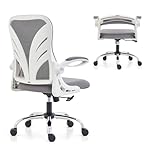 HOLLUDLE Ergonomic Office Chair with Foldable Backrest, Computer Desk Chair with Flip-up Armrests, Mesh Lumbar Support and Tilt Function Big and Tall Office Chair, White