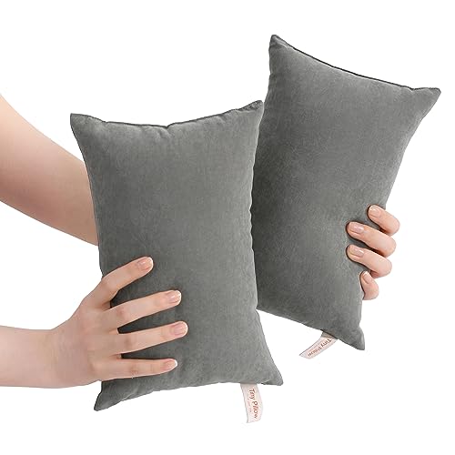 BEDSUM-2-Pack-Tiny-Pillows-11x7-Microfiber-Mini-Pillows-for-Travel-Pets-Soft-and-Machine-Washable-Small-Pillows-for-Neck-Wrist-and-Knee-Comfort-Dark-Grey - Cucciolini Doodles   BEDSUM-2-Pack-Tiny-Pillows-11x7-Microfiber-Mini-Pillows-for-Travel-Pets-Soft-and-Machine-Washable-Small-Pillows-for-Neck-Wrist-and-Knee-Comfort-Dark-Grey