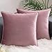 AHAHA Lot de 2 Housse Coussin en Velours Décoratif Canapé Taie d'oreiller 45X45CM Mauve