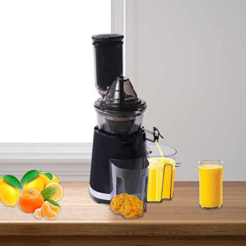 110V 250W Electric Juicer Machine Slow Juicer 304 Stainless Steel Juice DIY Cold Drinks Maker with Brush for Squeezing Fruits Soy,Vegetable,Easy to Clean&Operate(Speed 45rpm)