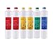 Watts Premier W-2R-2Y-1B-1G Ro Pure Replacement Filter Plus Membrane, 6-pack