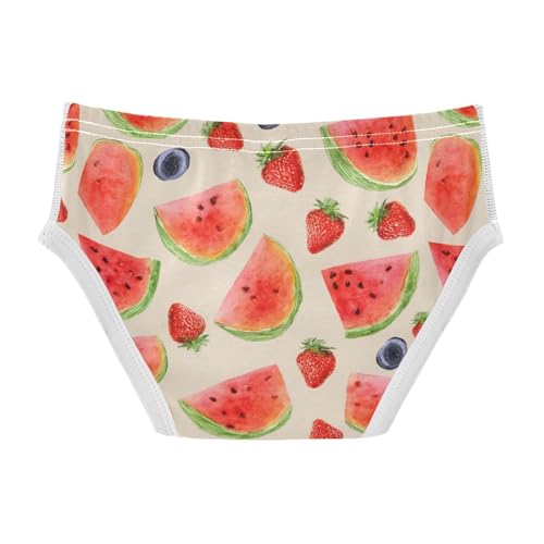 Wusikd Watercolor Strawberries Boys' Underwear Cotton Watermelon Boys Briefs Soft Toddler Underwear 2T2