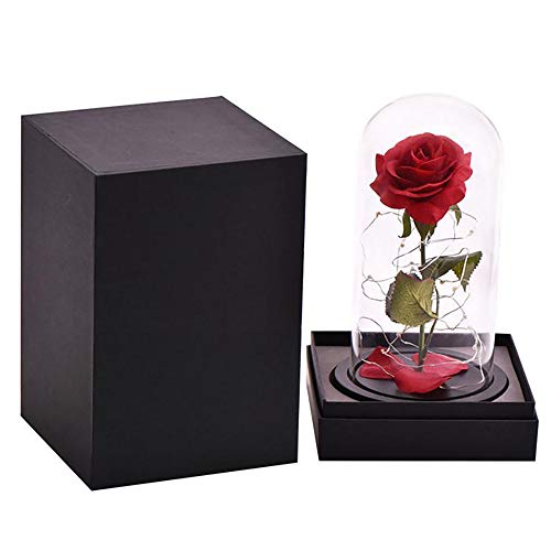 Sunsbell La Bella E La Bestia Rosa, Rosa Roja Luz LED Cúpula de Cristal Base de Madera Negro, Regalos Románticos para Mamá/San Valentín/Boda/Aniversario/Navidad