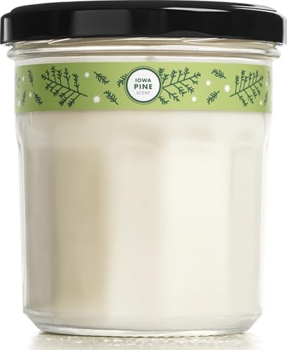 Image of Mrs. MEYER'S Clean Day Soy Candle, Iowa Pine (7.2 Ounce (Pack of 1))