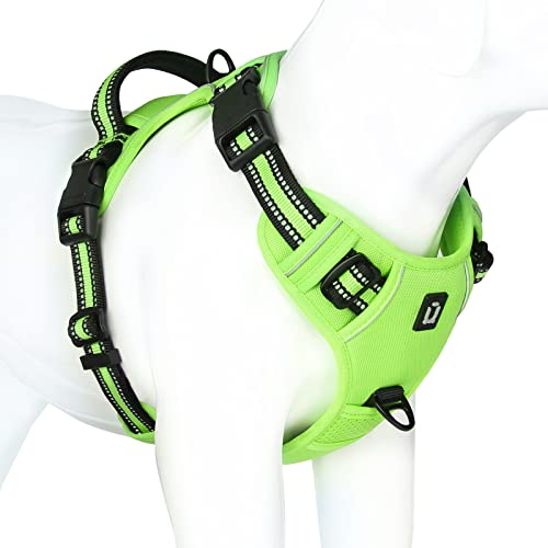 Green Dog Harness 2023 Vet Ranch We Love Pets