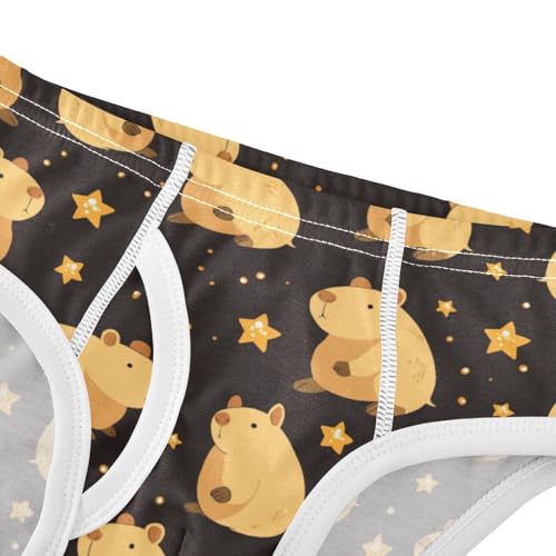 Wusikd Cute Capybara Boys' Underwear Cotton Stars Boys Briefs Soft Toddler Underwear 2T4