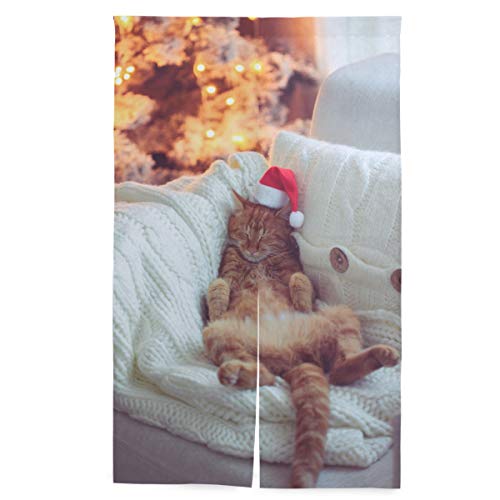 SUKAU ̂ O g L NX}X 킢  ˂_t 86cm×143cm