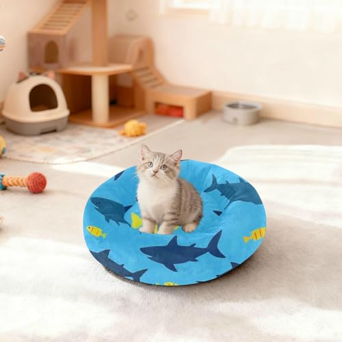 Lit antidérapant pour chien taille M motif requin