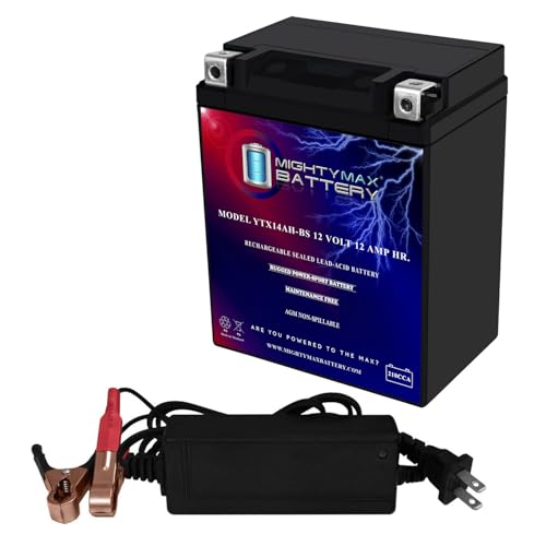 Mighty Max YTX14AH with Charger