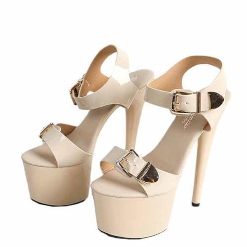 [IJGE]  I[vgD T_ fB[X nCq[ `L[q[ 15cmq[ p[eB[ q[ ANXgbv  LoN tH[} rpvX 22.0cm Xg[ JWA tH[} LoT_ z