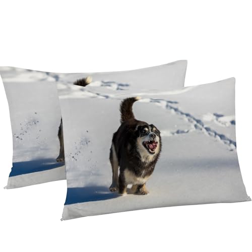 Housse de couette 240 x 260 avec fermeture éclair dogue mongol - 8