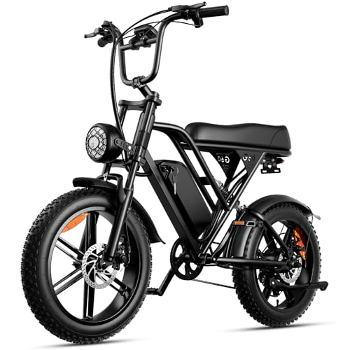 IKAMHNC 1000W Electric Bike 48V 15Ah, 43 Mi Range, Fat Tire