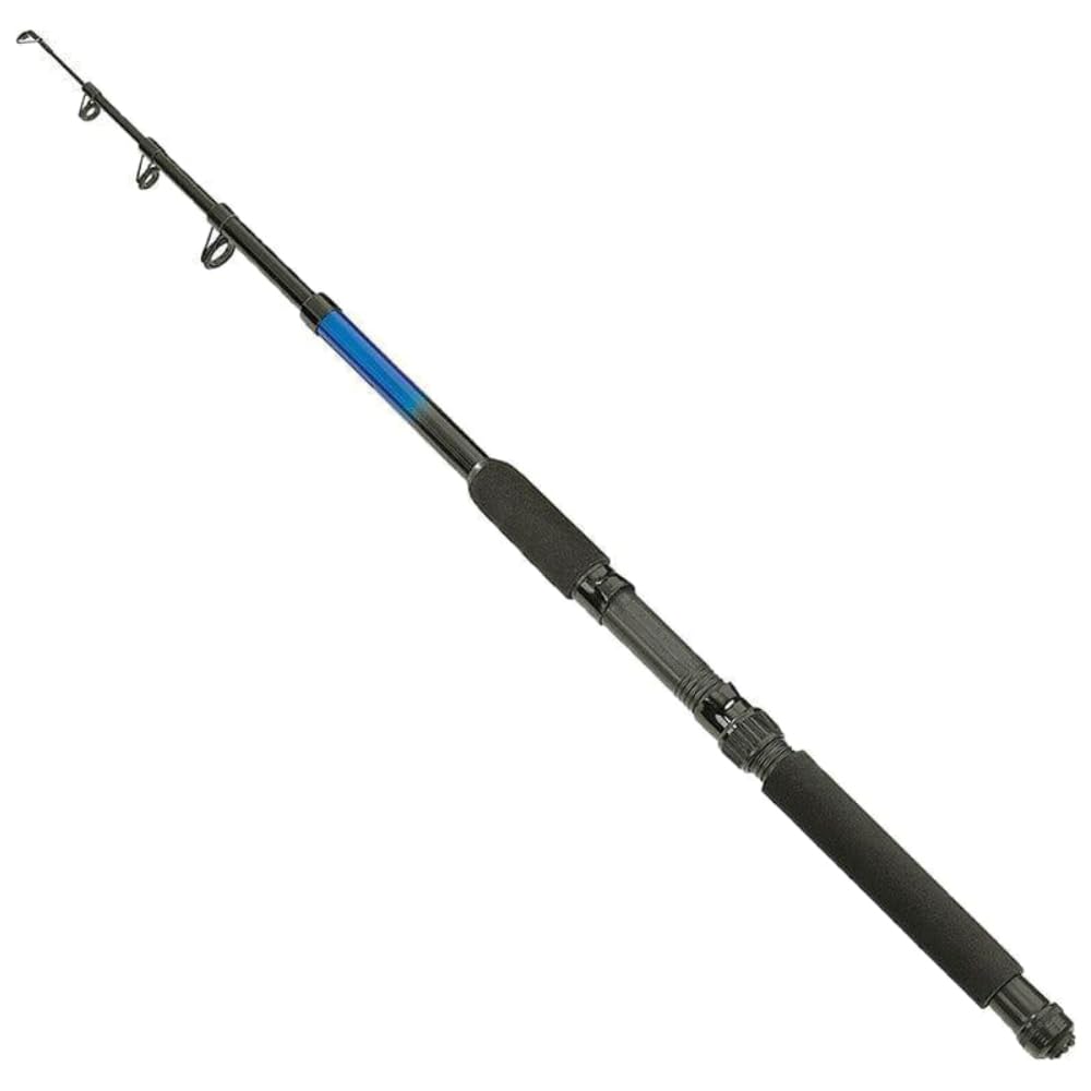 Angelset 2 Ruten + 2 Rollen mit Kescher und Zubehör Haken Posen Schnur