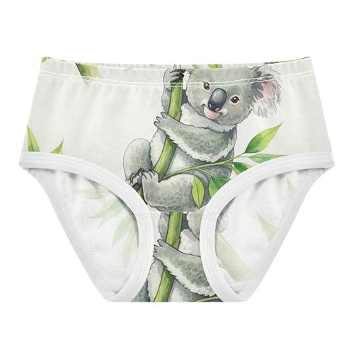 Girls Underwear Toddler 2t Cotton Panties Little Girl Print Briefs Kids Undies Cute Koala Green Leaves Beige