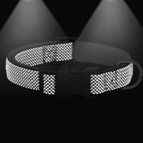 Didog Reflektierendes Hundehalsband mit Schnalle, verstellbar, weiches Neopren, gepolstert, Nylon, Haustierhalsbänder für kleine, mittelgroße und große Hunde, Schwarz, M