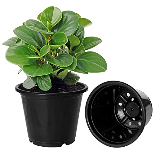 Image of Kuber Industries Durable Plastic Flower Pot|Gamla with Drain Holes for Indoor Home Decor & Outdoor Balcony,Garden,6 inchx5 inch,Pack of 10 (Black)
