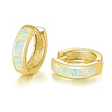 CiNily Gold Small Hoop Earrings for Women Men Huggie Earrings Opal Hinged Hoop Earrings 14K Yellow Gold Plated Dainty Earrings