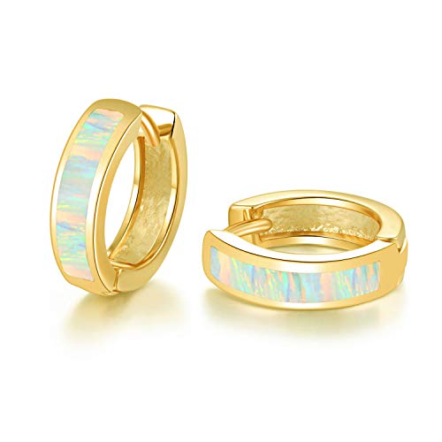 CiNily Gold Small Hoop Earrings for Women Men Huggie Earrings