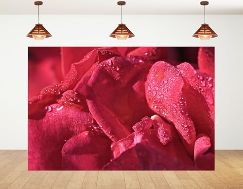 5x3ft Red Rose Petals Backdrop Delicate Bloom Detail Photography Background
