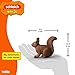 Schleich Squirrel 14936