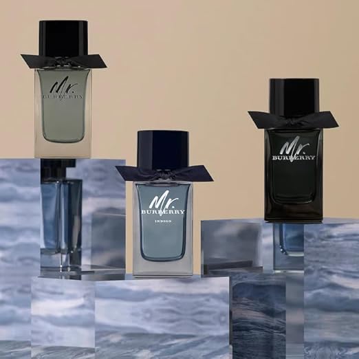 Burberry Mr. Burberry Eau de Toilette 3.3 fl oz - Image 4