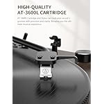 Belt-Drive Bluetooth Turntable with Magnetic Cartridge, Bluetooth 5.3, Built-in Phono Preamp, RCA Output, 33/45 RPM Vinyl Record Player, Vintage Wood Grain Design & Anti-Vibration Feet